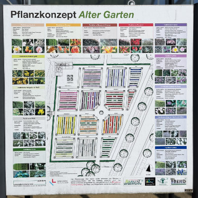 Farbkonzept Alter Garten Kloster Kamp Pflanzkonzept des Alten Gartens