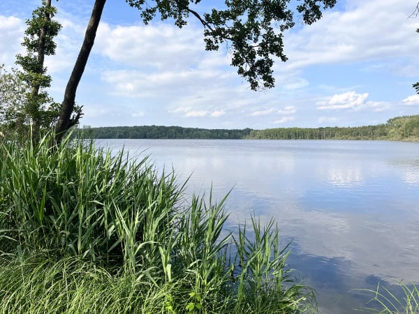 Ausblick auf die Krickenbecker Seen Ausblick auf den Glabbacher Bruch