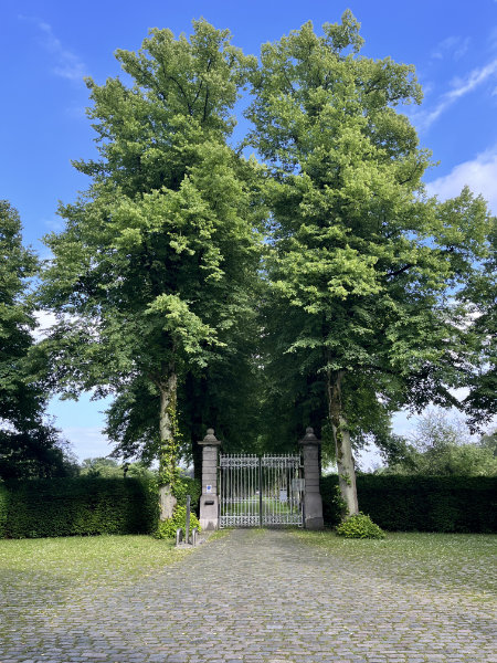 Zufahrt Allee Schloss Krickenbeck Zufahrt Allee Schloss Krickenbeck